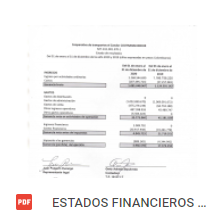 ESTADOS FINANCIEROS 2020